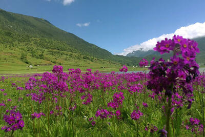 Hiking in Lijiang: Wenhai Mountain