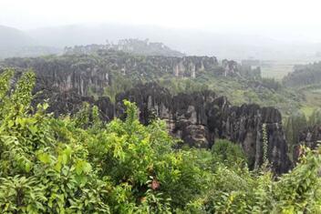 Naigu Stone Forest